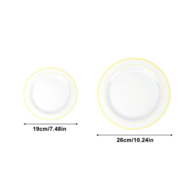 Assiettes plastiques réutilisables 6