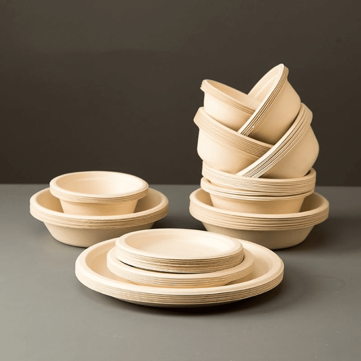 10 Assiettes Jetables Thème Noël - Père Noël, Rennes - Pour Desserts Et Apéros Festifs